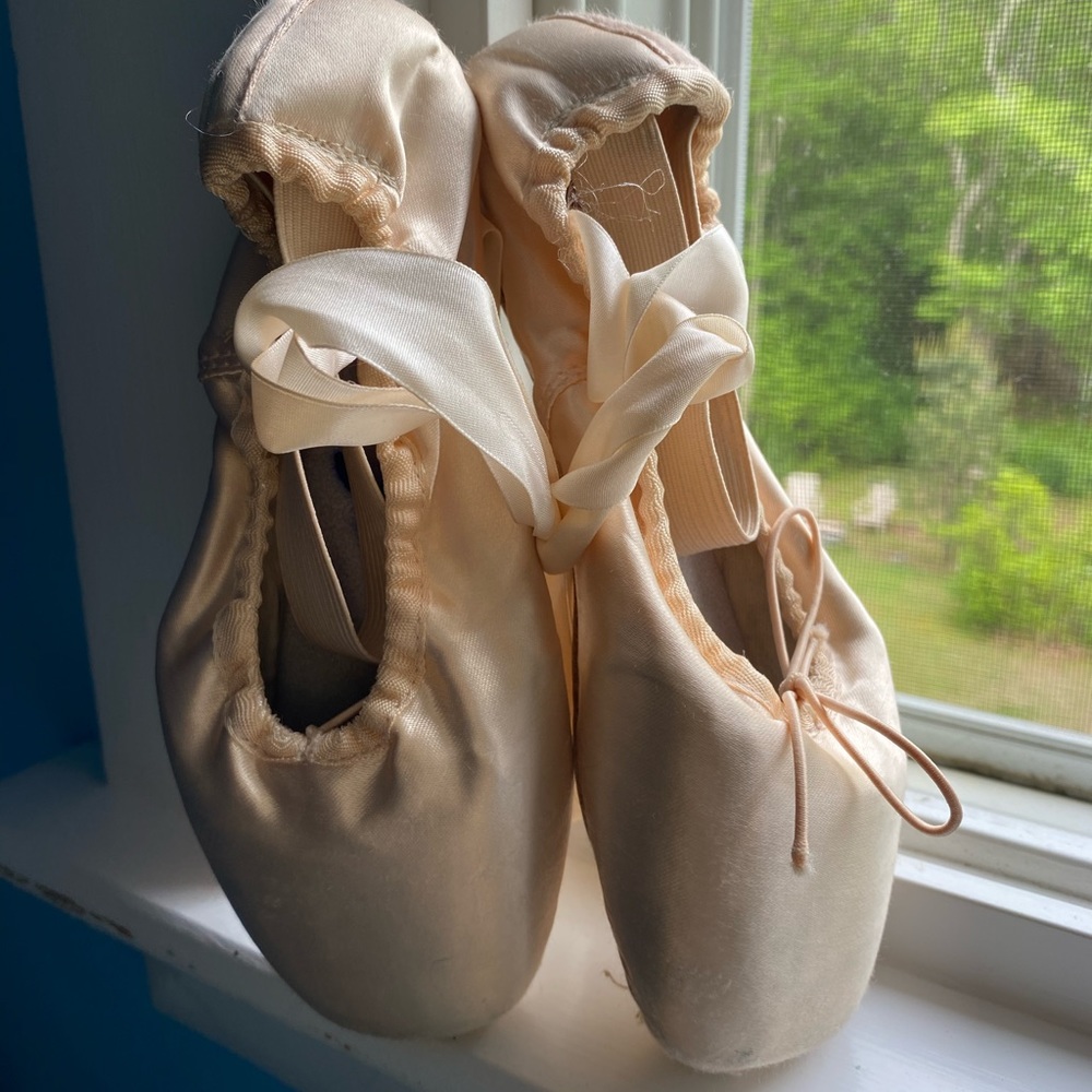 Bloch Pointe Shoes